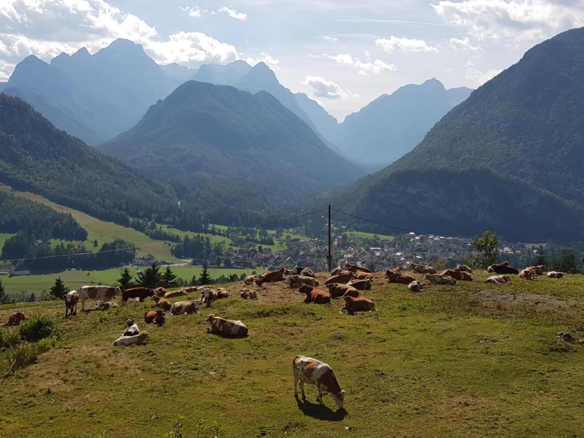 Zajcek Apartma Mojstrana Esterno foto