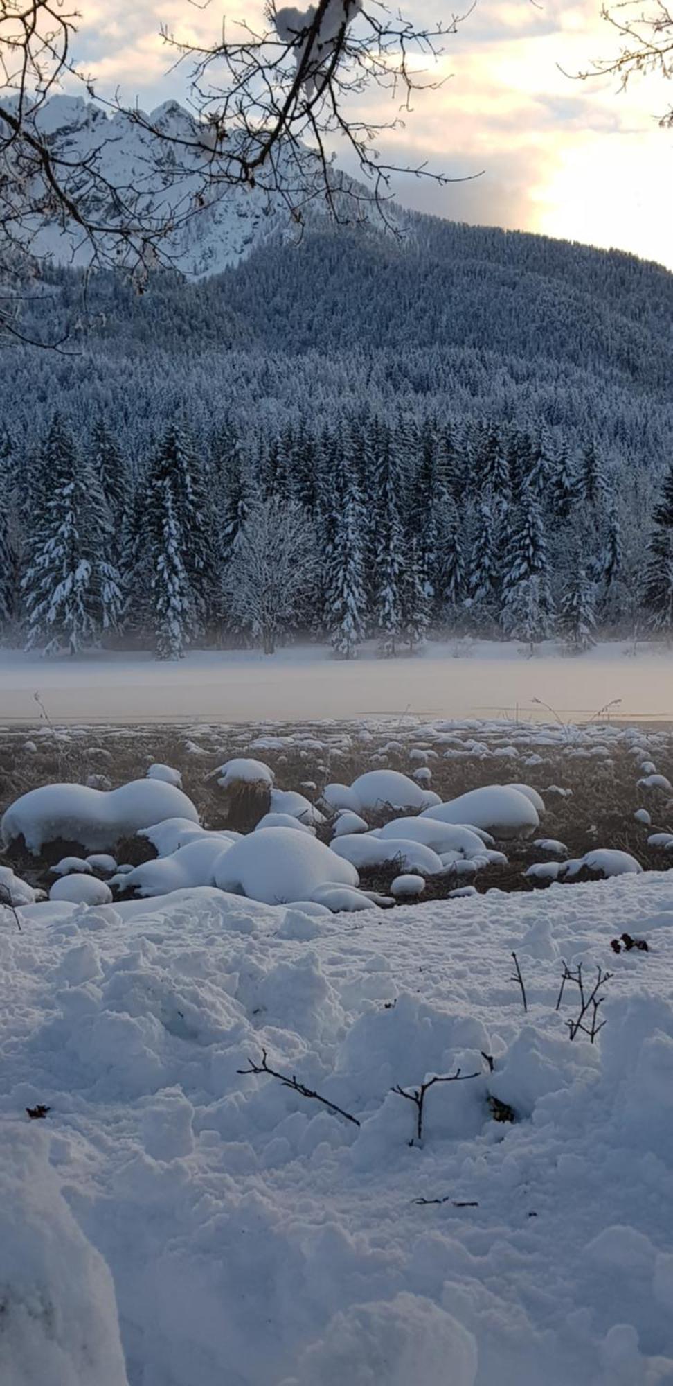 Zajcek Apartma Mojstrana Esterno foto