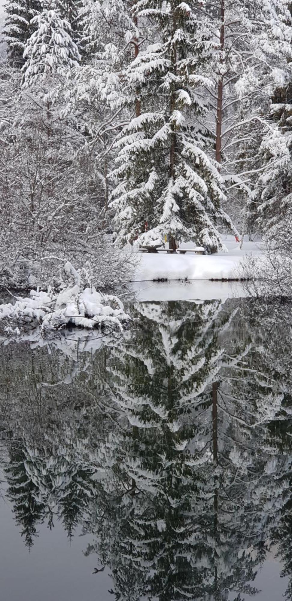 Zajcek Apartma Mojstrana Esterno foto