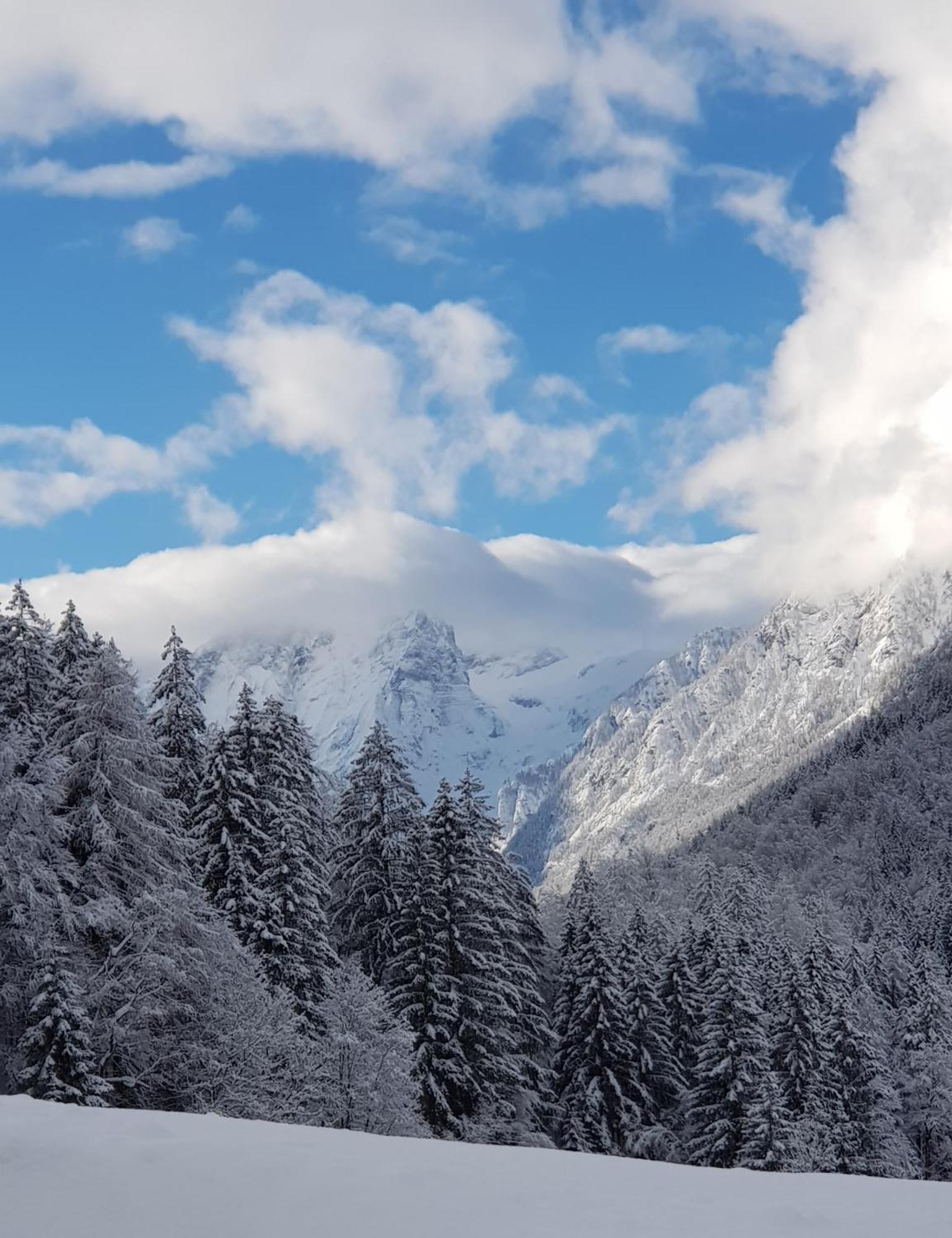 Zajcek Apartma Mojstrana Esterno foto
