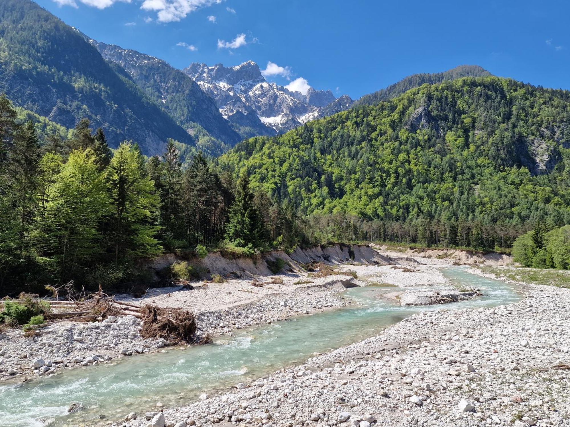 Zajcek Apartma Mojstrana Esterno foto