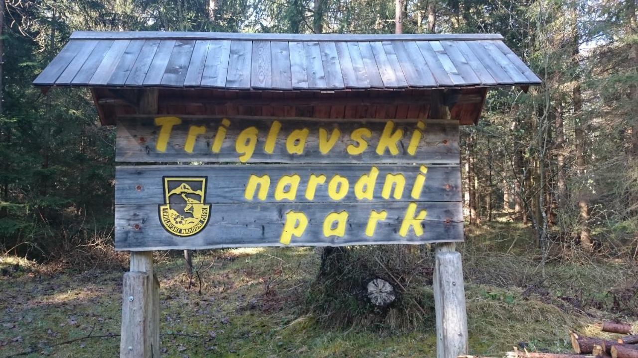 Zajcek Apartma Mojstrana Esterno foto