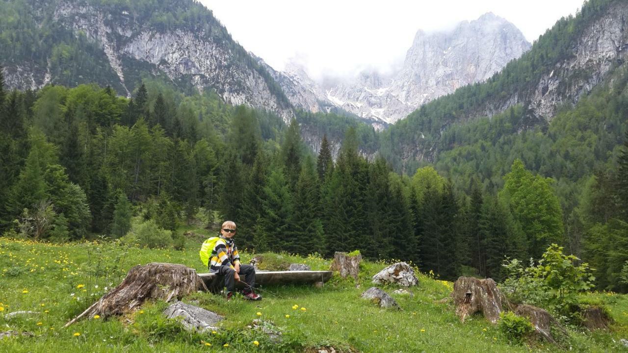 Zajcek Apartma Mojstrana Esterno foto