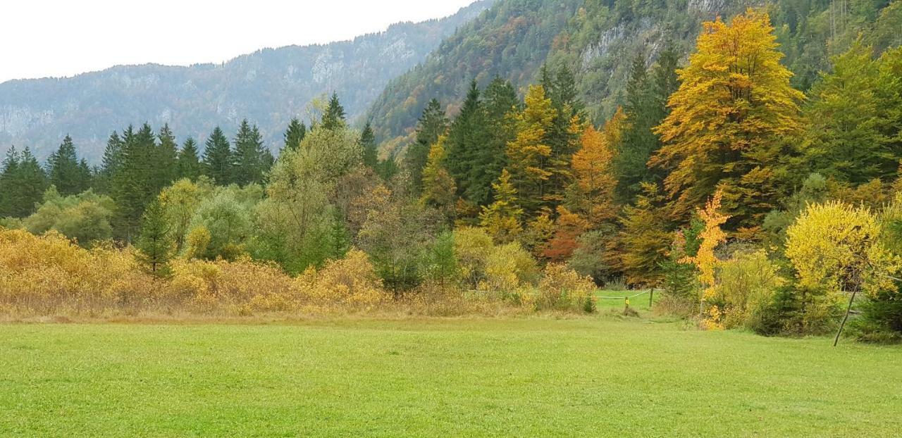 Zajcek Apartma Mojstrana Esterno foto