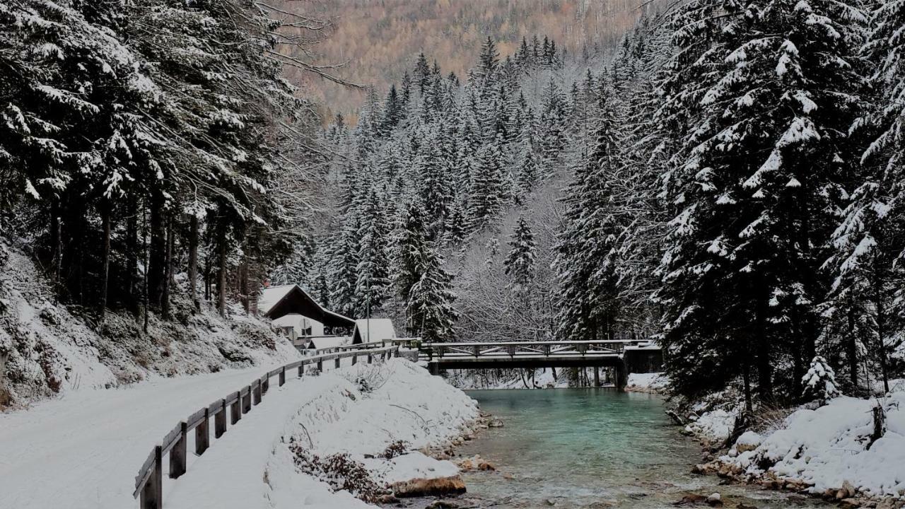 Zajcek Apartma Mojstrana Esterno foto