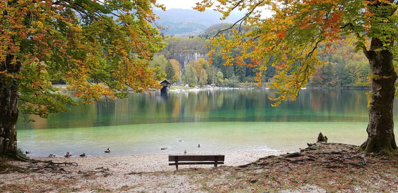 Zajcek Apartma Mojstrana Esterno foto
