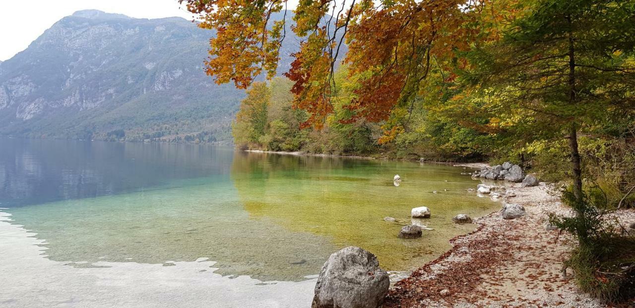 Zajcek Apartma Mojstrana Esterno foto