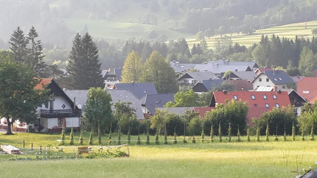 Zajcek Apartma Mojstrana Esterno foto