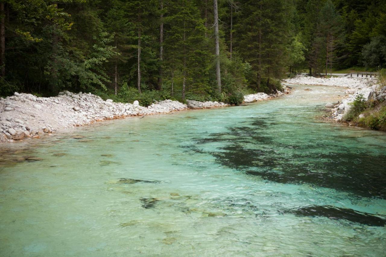 Zajcek Apartma Mojstrana Esterno foto